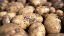 PepsiCo could apply the method to oats and corn as well as potatoes